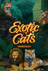 Exotic Cats