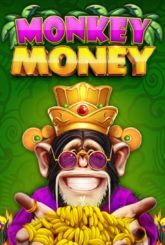 Monkey Money