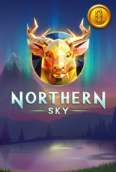 Northern Sky