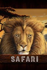 Safari